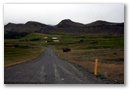 img_4170.jpg