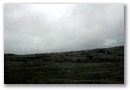 img_4224.jpg