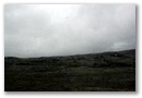 img_4225.jpg