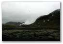 img_4236.jpg